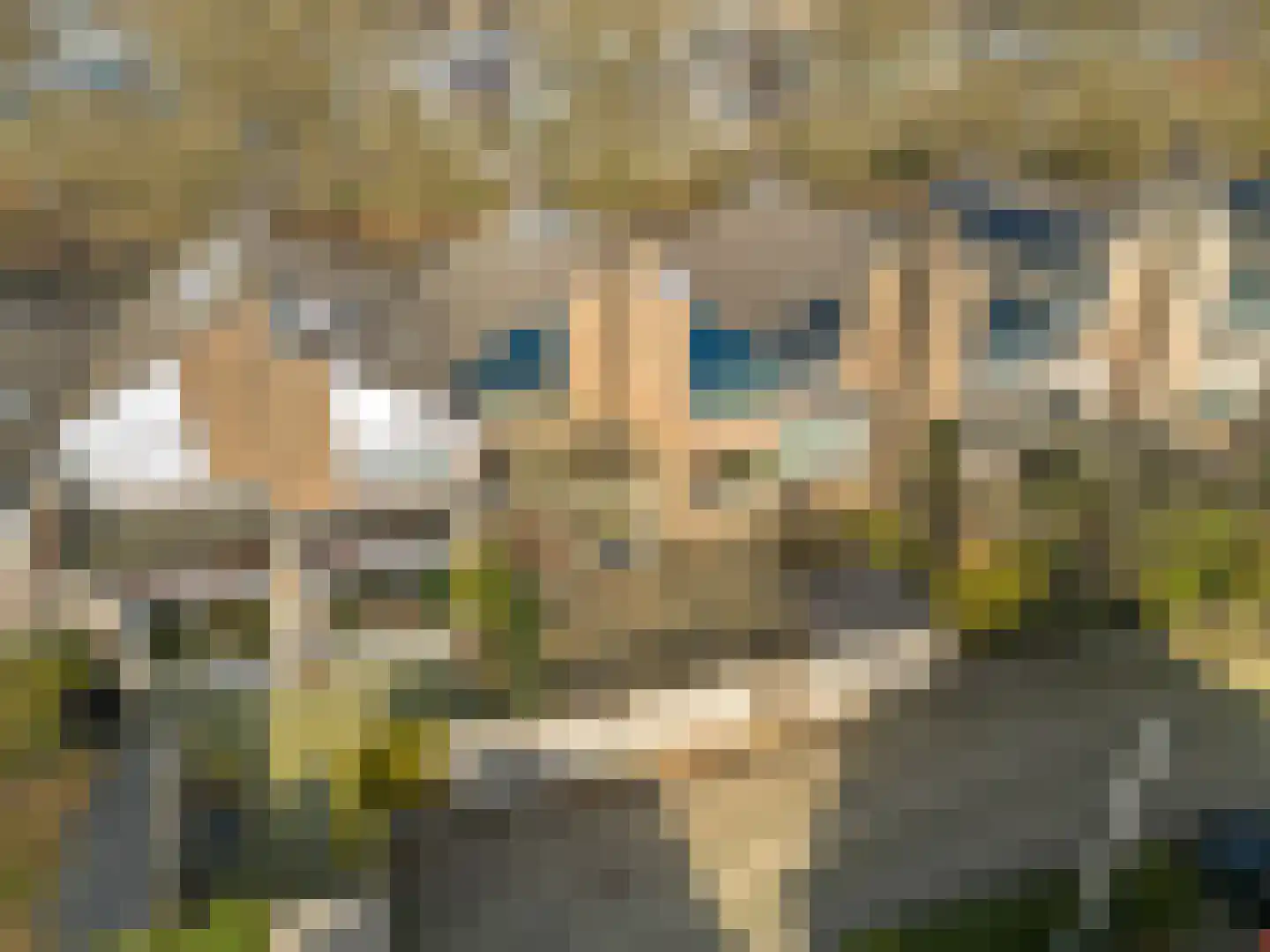 Astronautenweg 14 Hoorn thumbnail 49