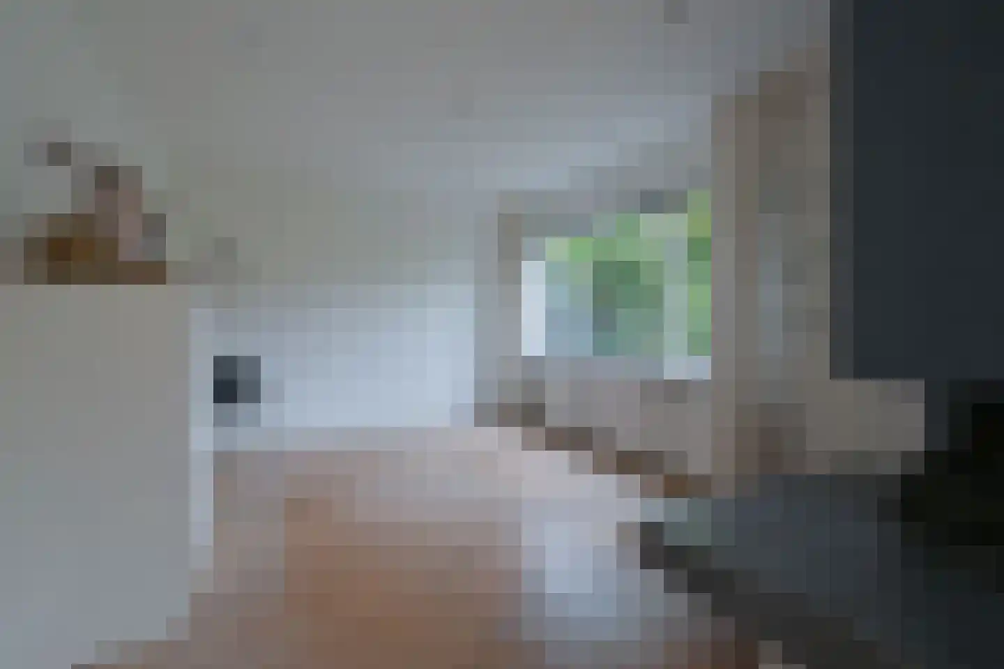 Astronautenweg 15 Hoorn thumbnail 10