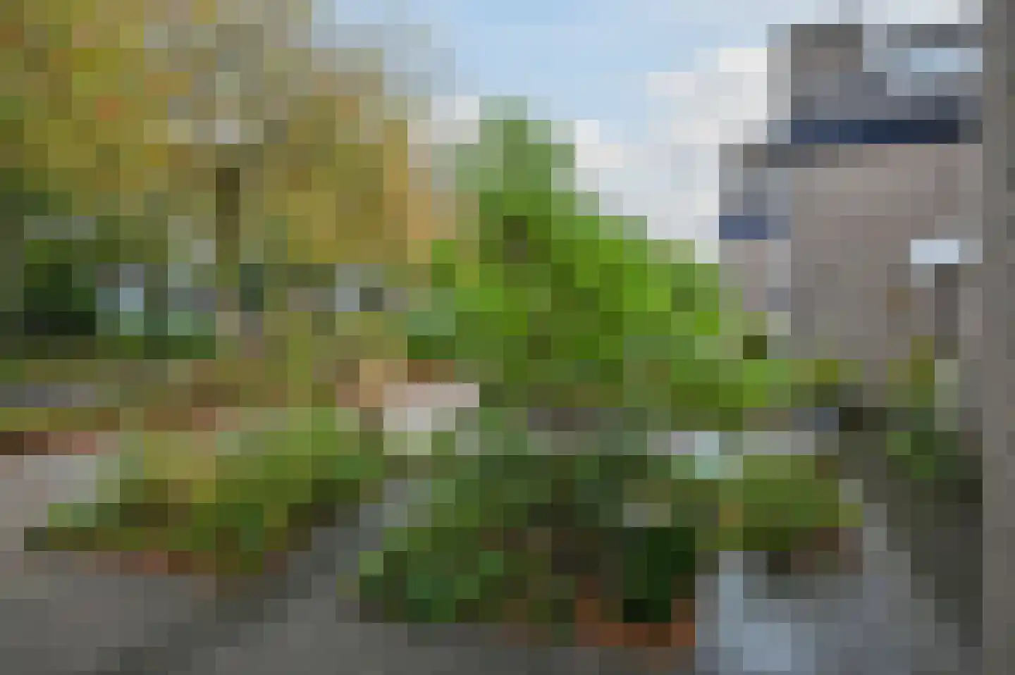 Astronautenweg 15 Hoorn thumbnail 35