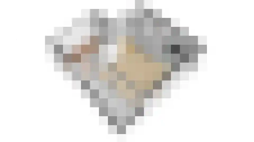 Astronautenweg 20 R Hoorn thumbnail 37