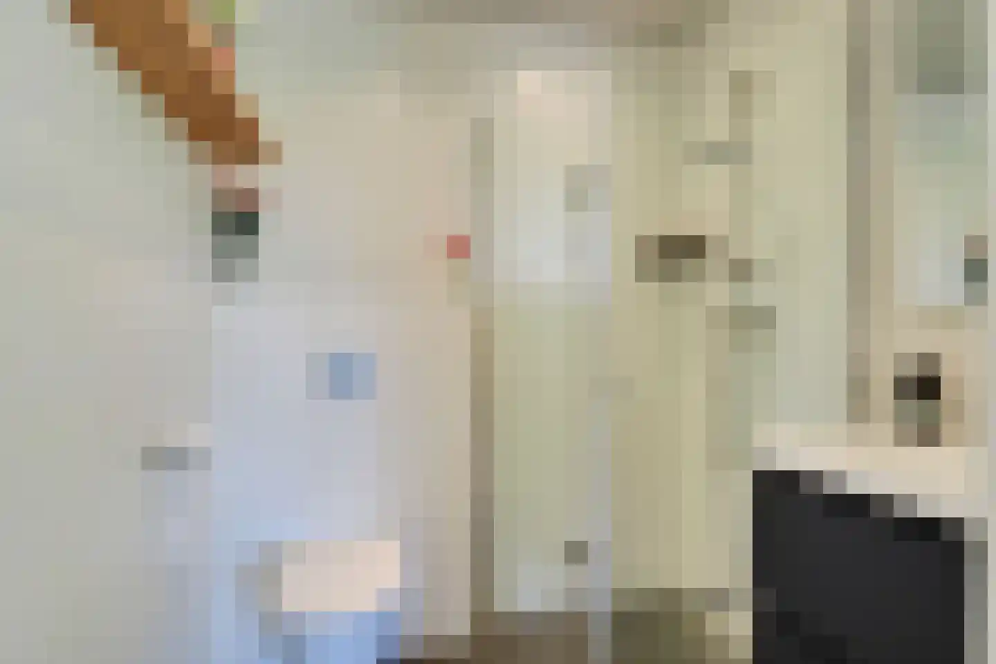 Astronautenweg 20 R Hoorn thumbnail 6