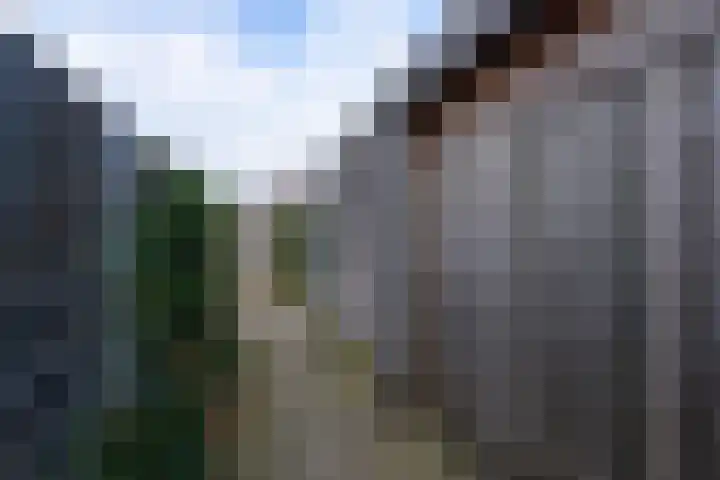 Asturiëstraat 5 Lent thumbnail 31