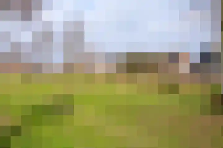 Asturiëstraat 5 Lent thumbnail 33