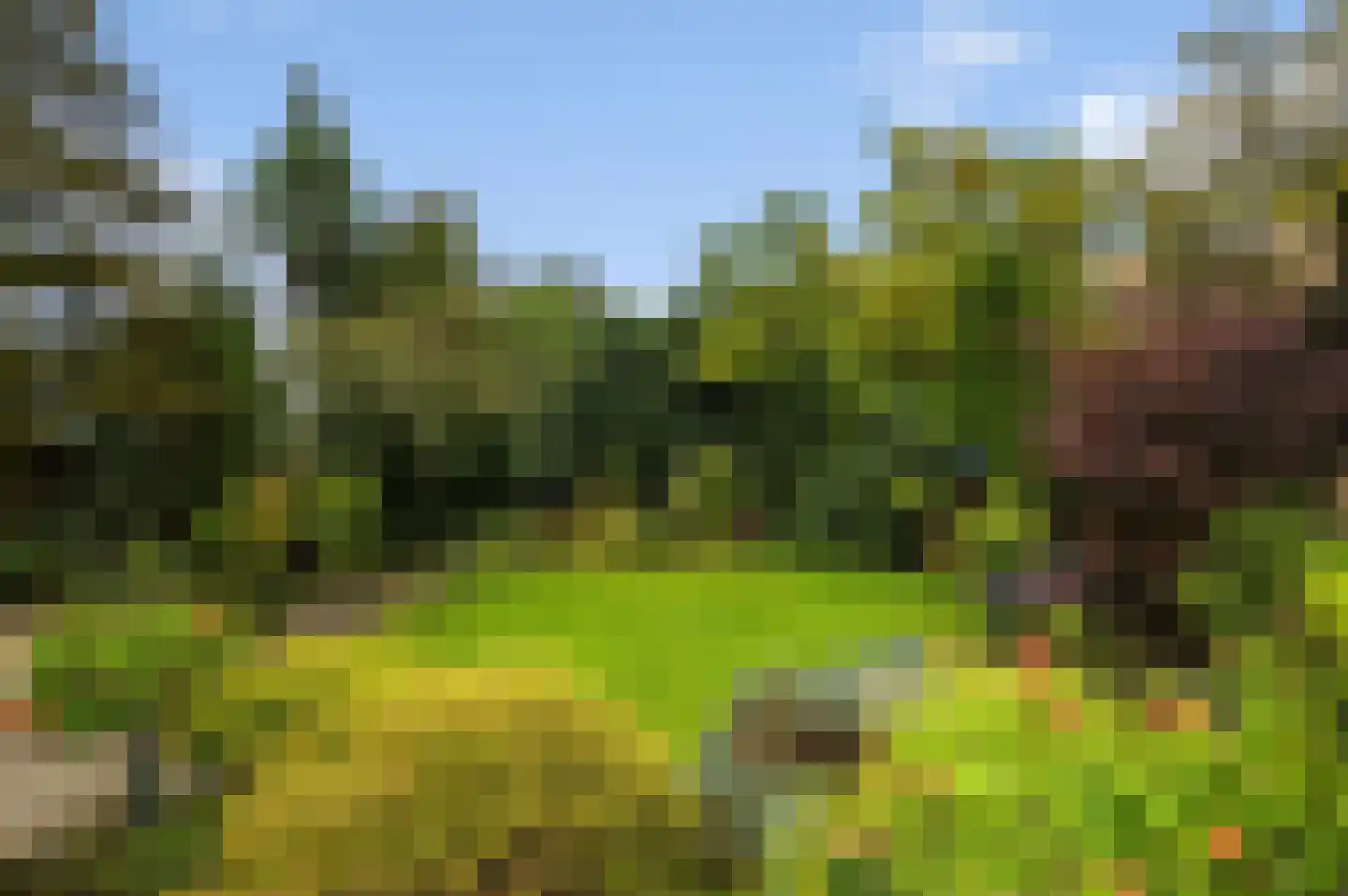 Asveldweg 13 Hengelo thumbnail 29