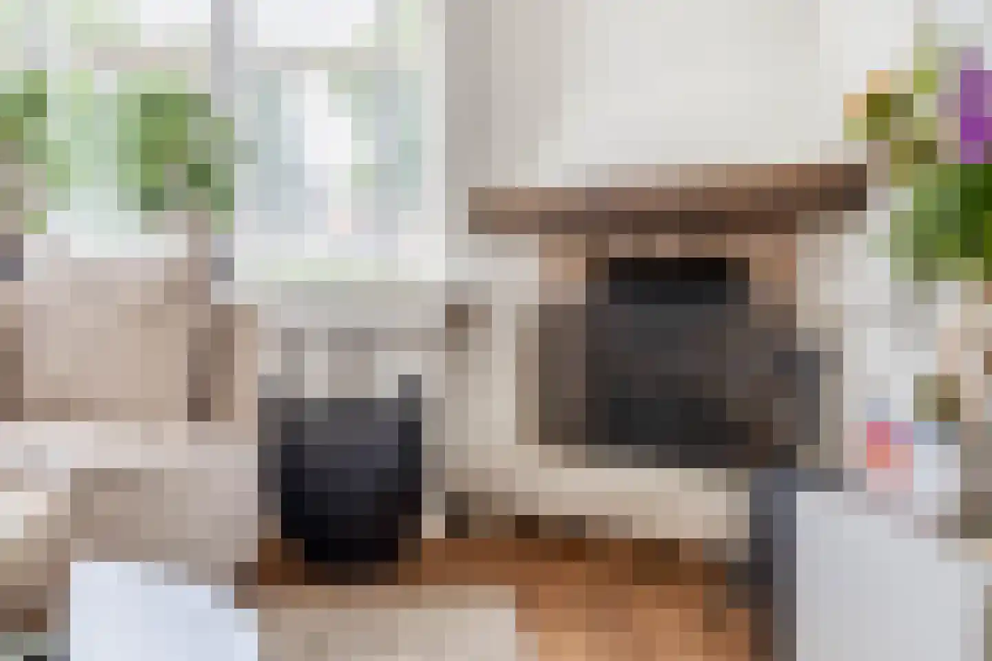 Asylplein 16 Brielle thumbnail 18