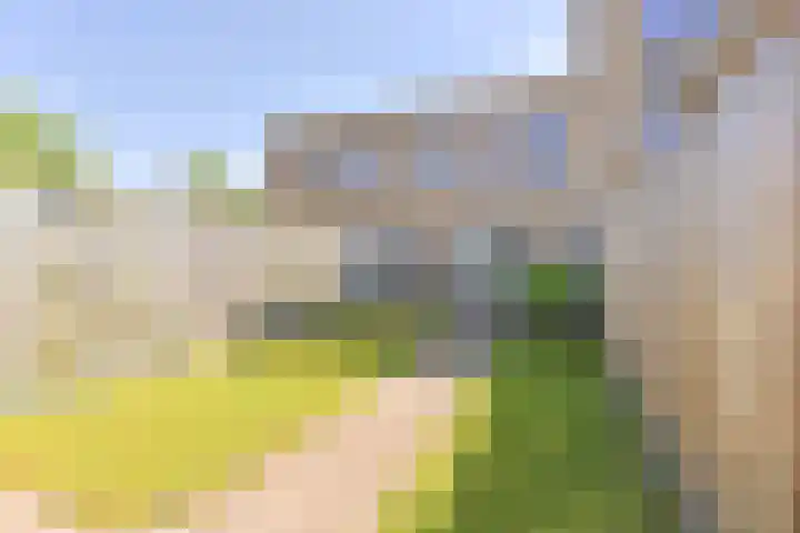 Atalanta 12 Hoogeveen thumbnail 36