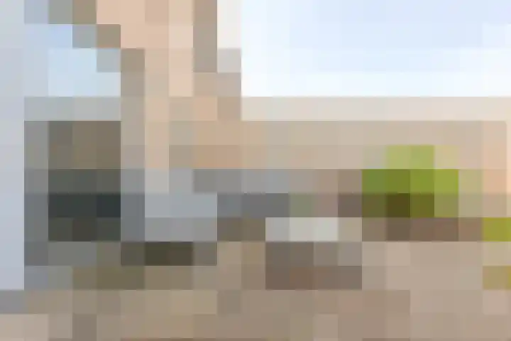 Atalanta 12 Hoogeveen thumbnail 38