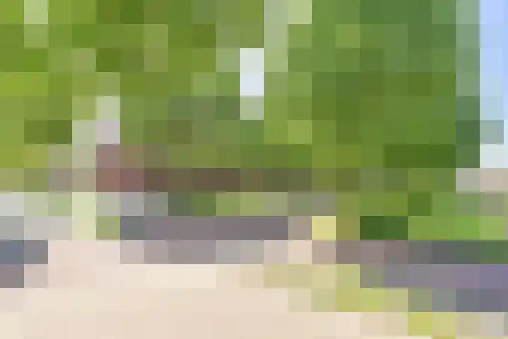 Atalanta 12 Hoogeveen thumbnail 41