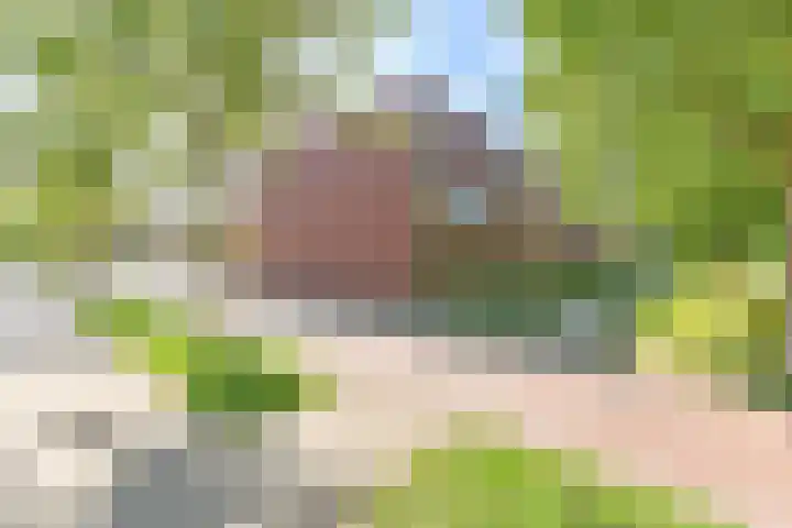 Atalanta 12 Hoogeveen thumbnail 42