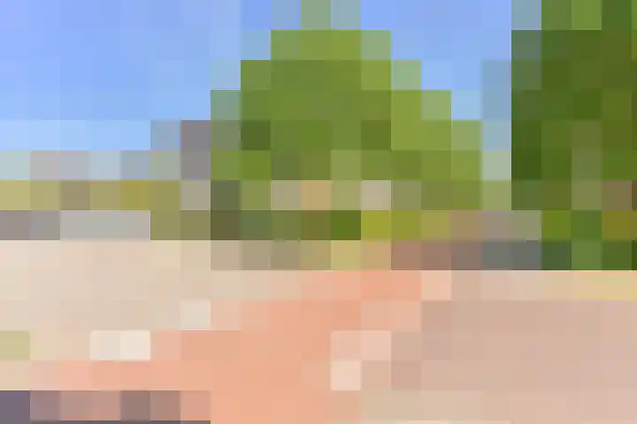 Atalanta 12 Hoogeveen thumbnail 47