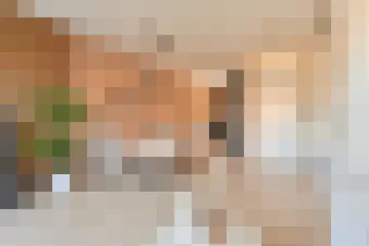 Atalanta 12 Hoogeveen thumbnail 6