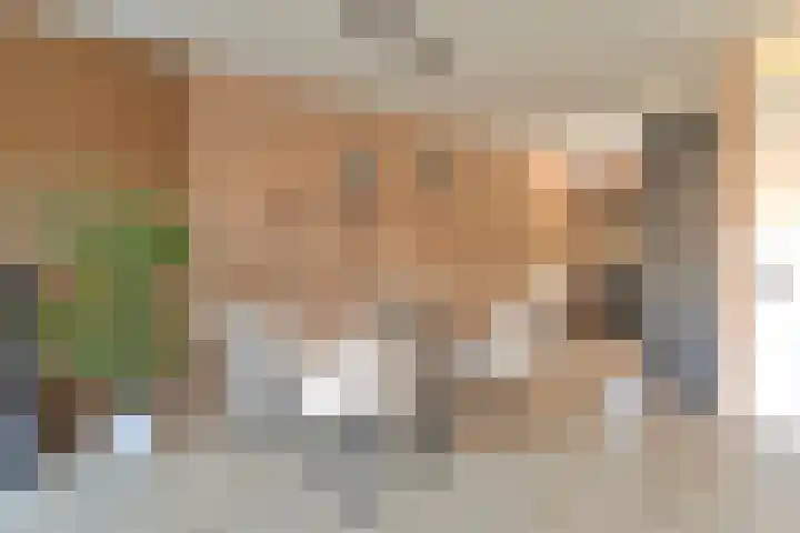 Atalanta 12 Hoogeveen thumbnail 7