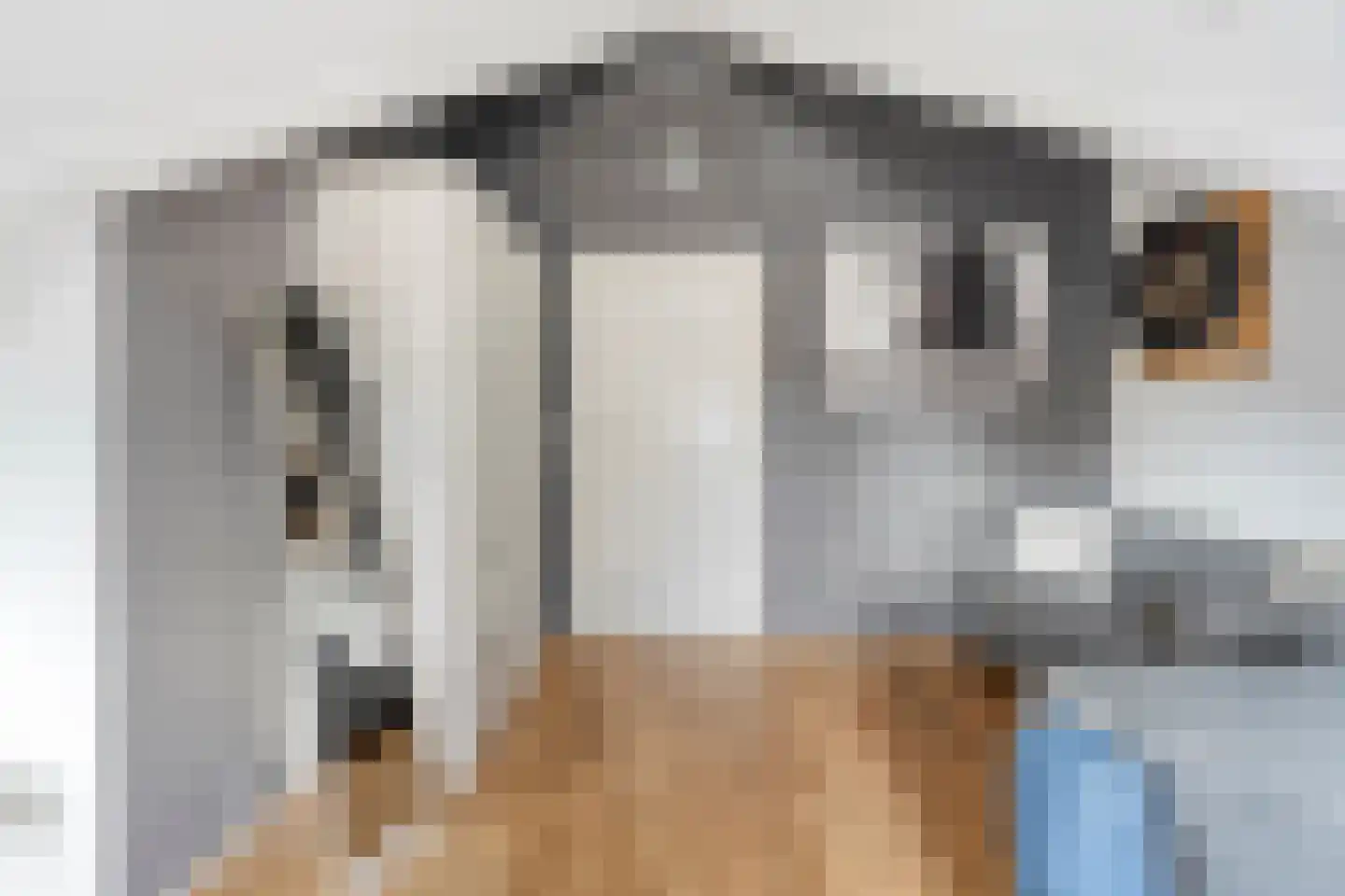Atalanta 12 Nieuwleusen thumbnail 27