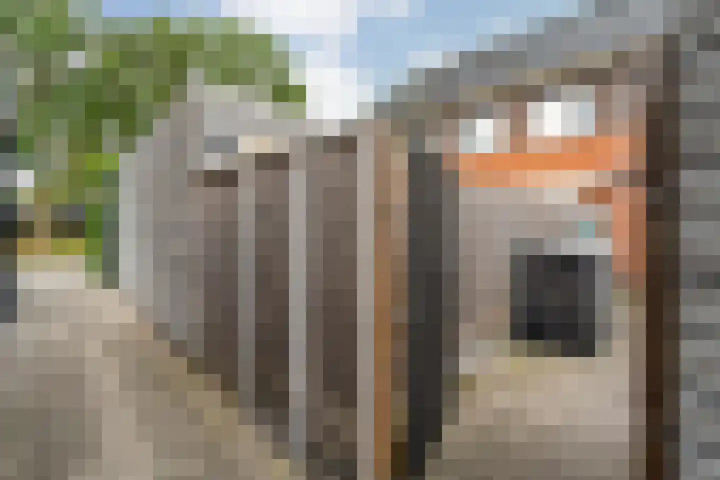 Atalanta 12 Nieuwleusen thumbnail 33