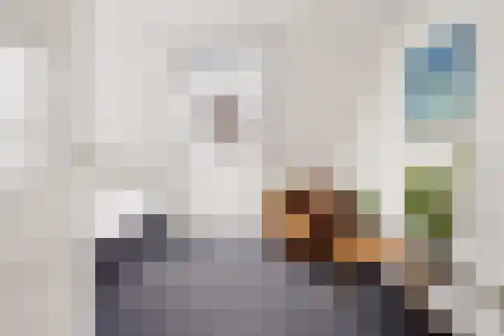 Atalanta 126 Zeewolde thumbnail 45