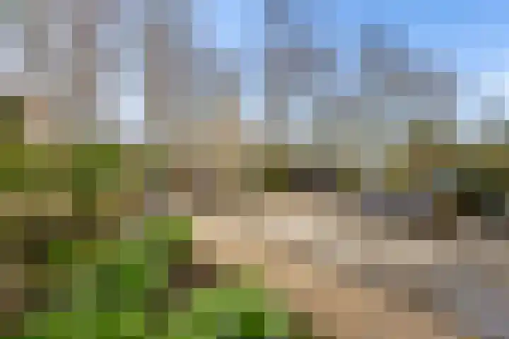 Atalanta 126 Zeewolde thumbnail 56