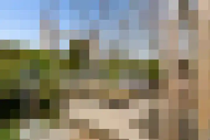 Atalanta 126 Zeewolde thumbnail 63