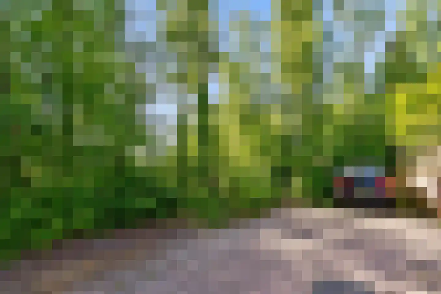 Atalanta 130 Zeewolde thumbnail 54