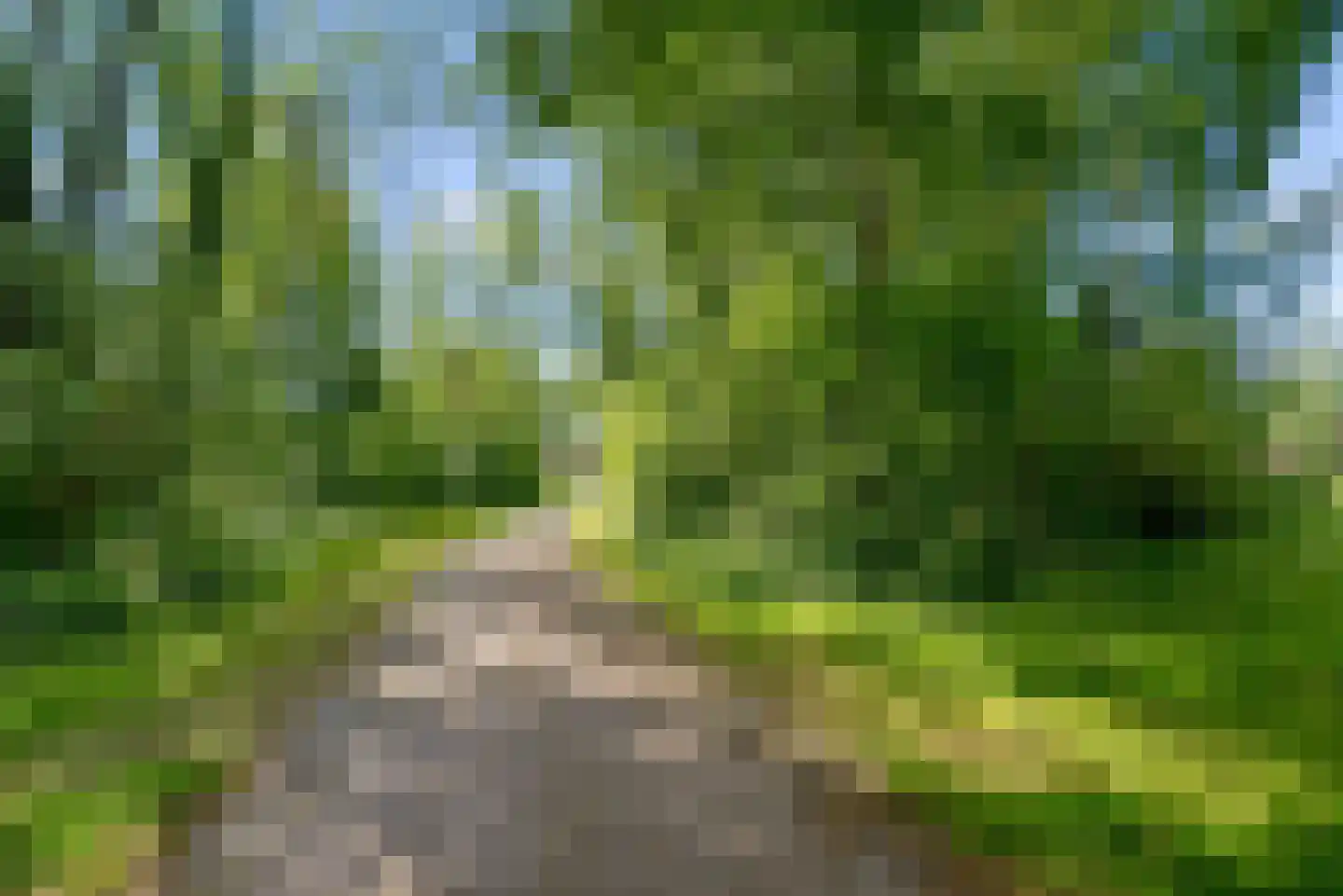 Atalanta 130 Zeewolde thumbnail 56