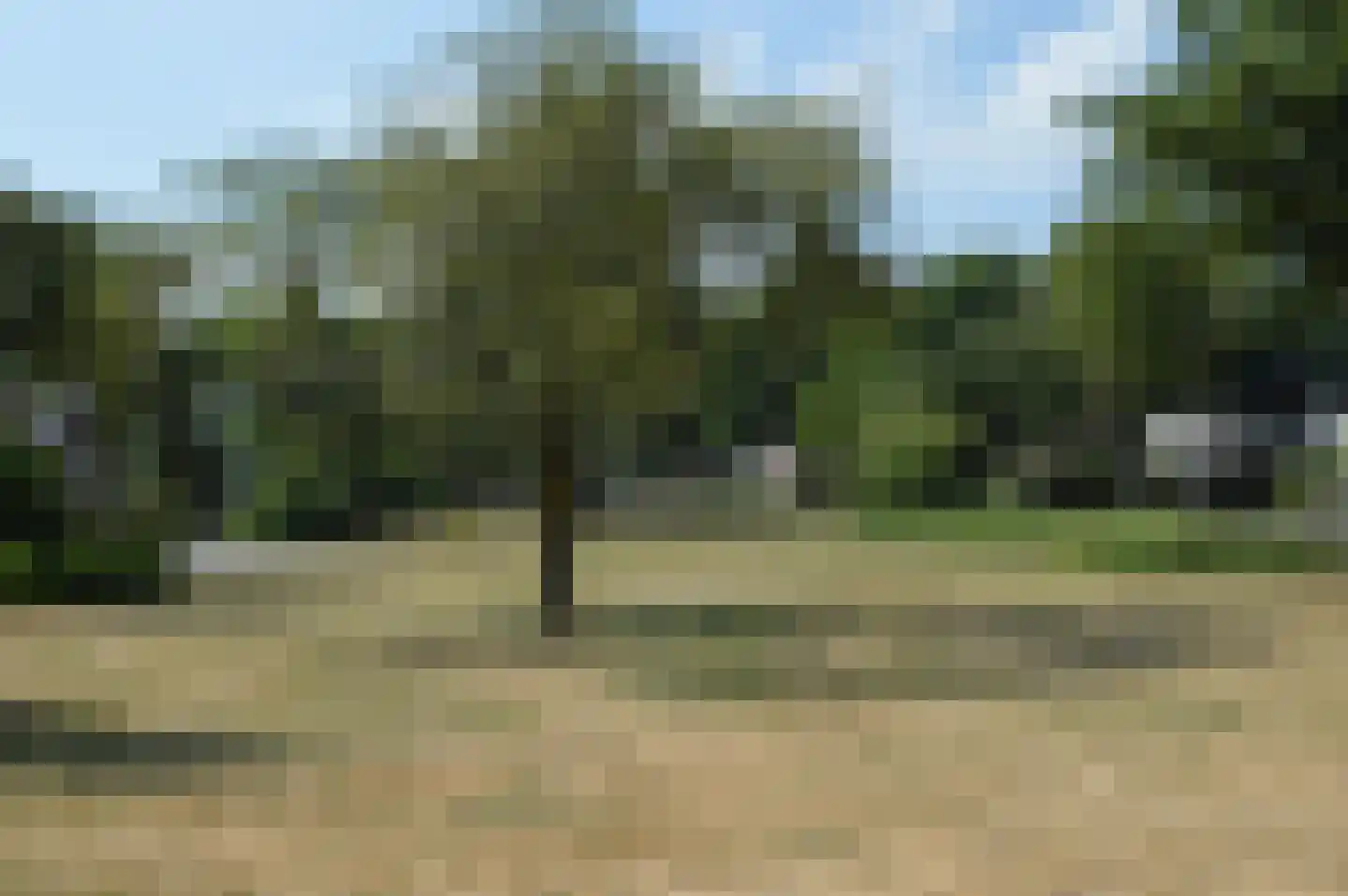Atalanta 15 Deurne thumbnail 32