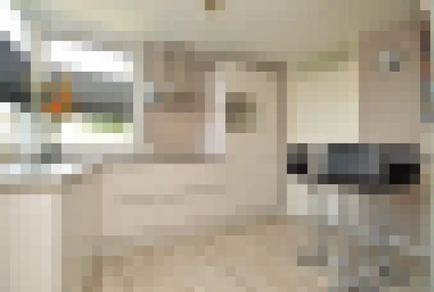 Atalanta 15 Deurne thumbnail 8