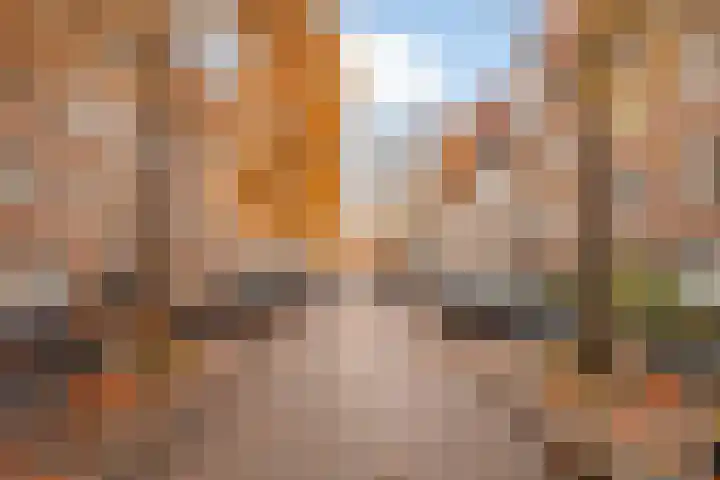 Atalanta 15 Zeewolde thumbnail 20