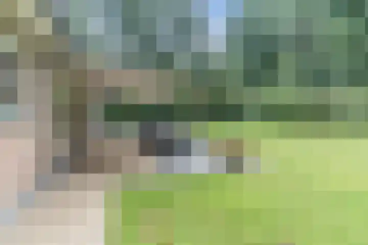 Atalanta 17 Rijen thumbnail 28