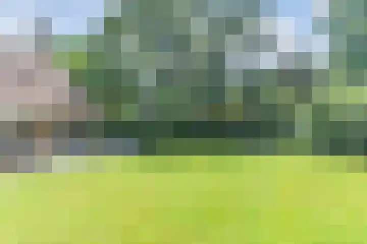 Atalanta 17 Rijen thumbnail 32
