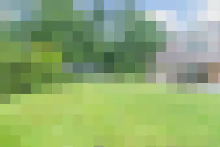 Atalanta 17 Rijen thumbnail 34