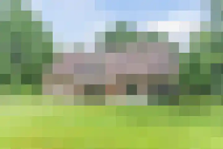 Atalanta 17 Rijen thumbnail 35
