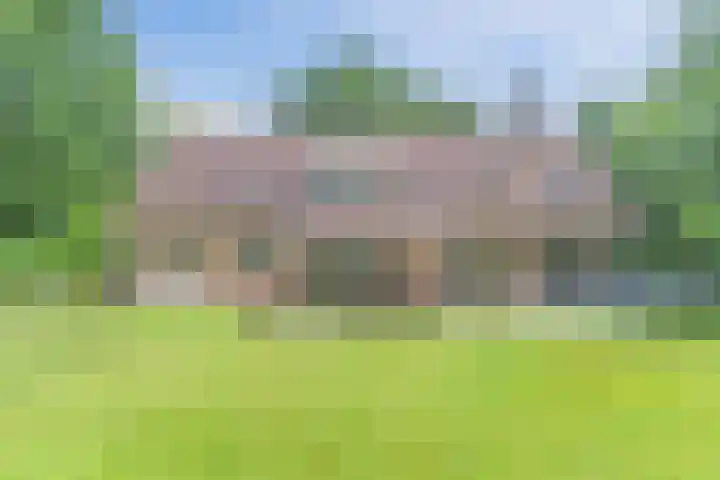 Atalanta 17 Rijen thumbnail 36