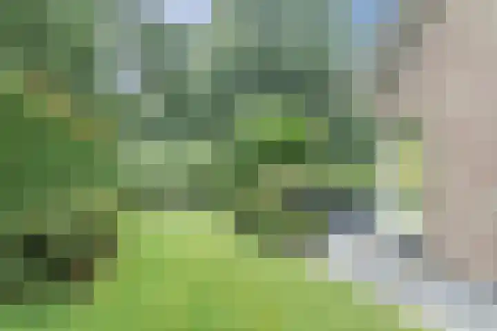 Atalanta 17 Rijen thumbnail 37
