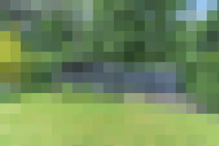 Atalanta 17 Rijen thumbnail 38