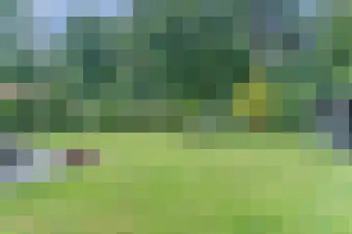 Atalanta 17 Rijen thumbnail 39
