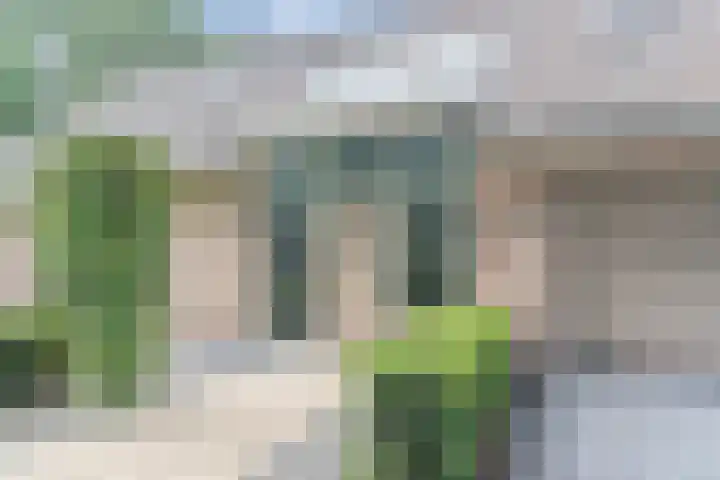 Atalanta 17 Rijen thumbnail 7