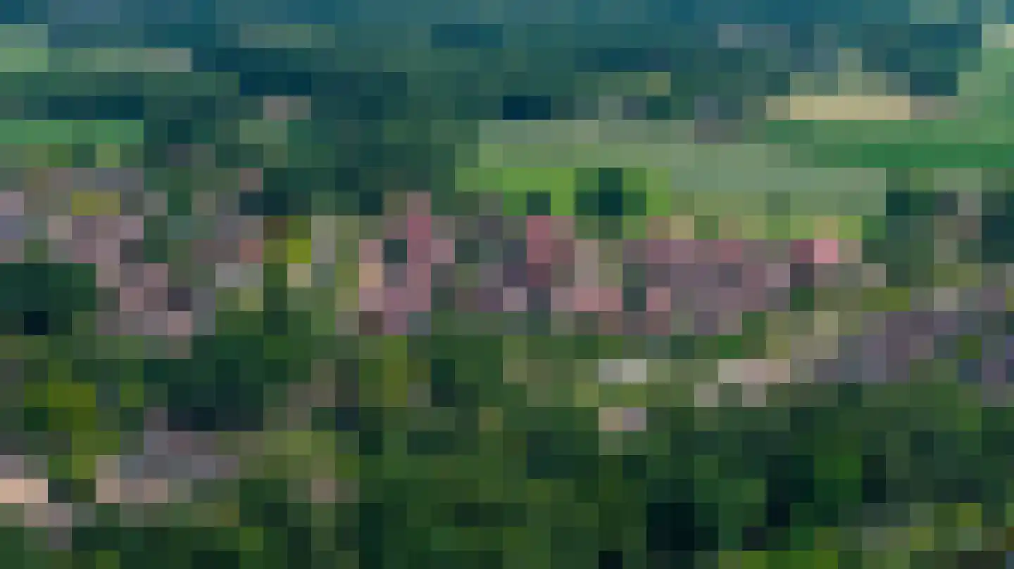 Atalanta 18 Holten thumbnail 47