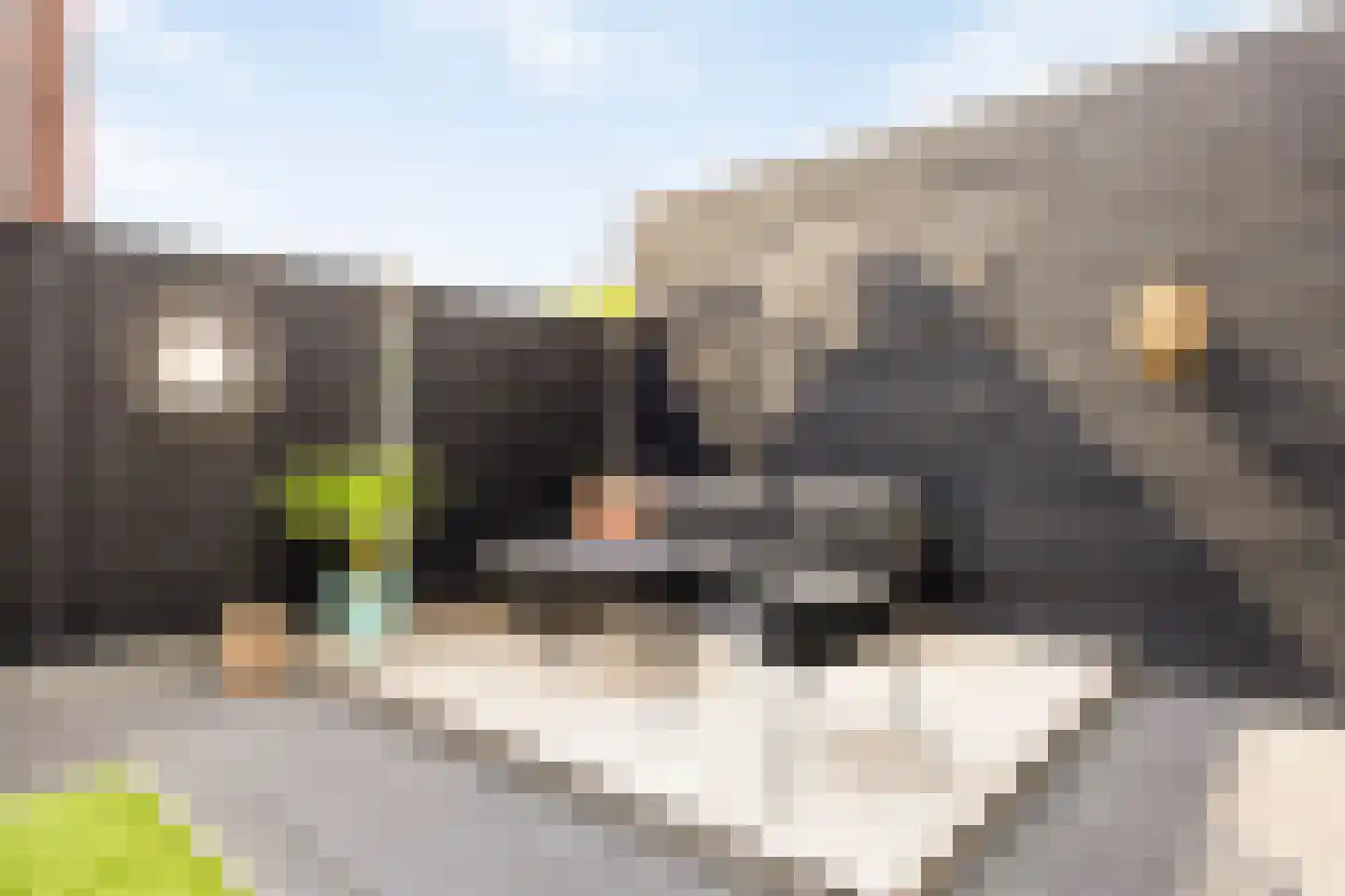 Atalanta 2 C Mierlo thumbnail 48