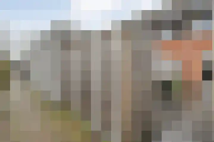 Atalanta 20 Nieuwleusen thumbnail 36