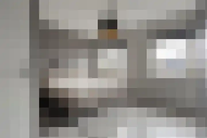 Atalanta 20 Nieuwleusen thumbnail 4