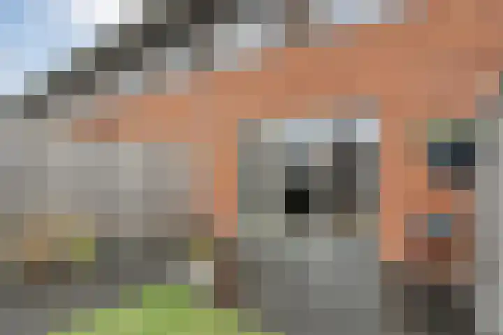 Atalanta 20 Nieuwleusen thumbnail 40