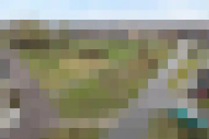 Atalanta 20 Nieuwleusen thumbnail 8