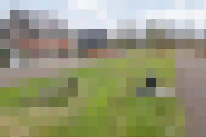 Atalanta 20 Nieuwleusen thumbnail 9