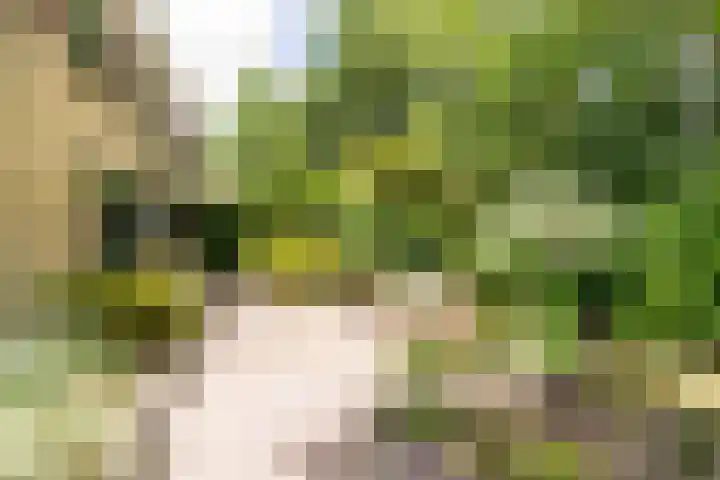 Atalanta 223 Zeewolde thumbnail 28