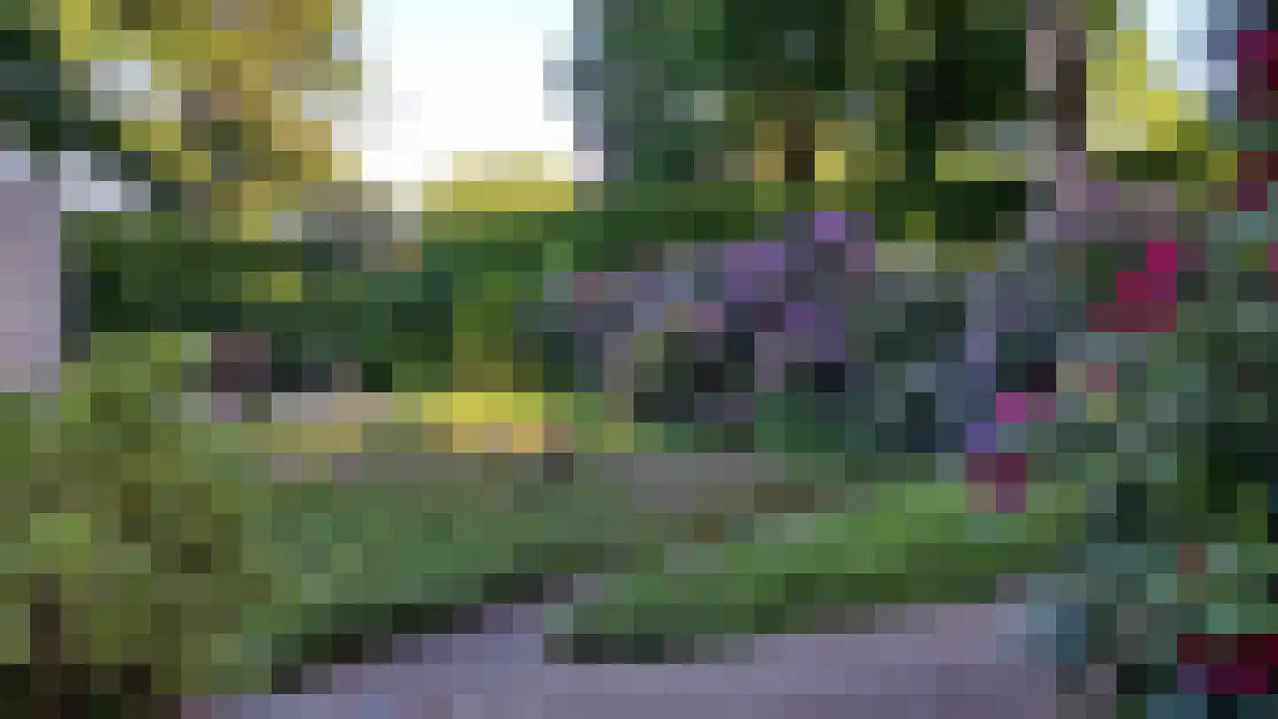 Atalanta 30 Rijen thumbnail 35