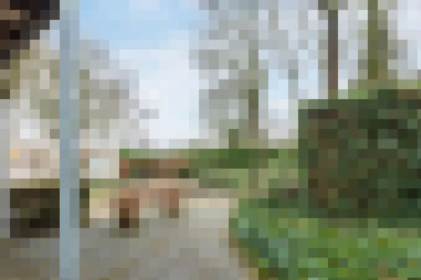 Atalanta 30 Rijen thumbnail 39