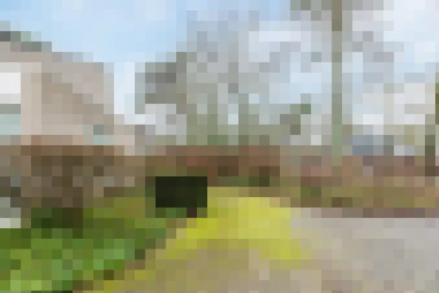 Atalanta 30 Rijen thumbnail 54