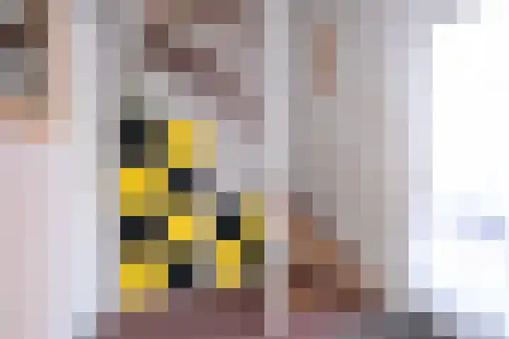 Atalanta 32 Deventer thumbnail 11