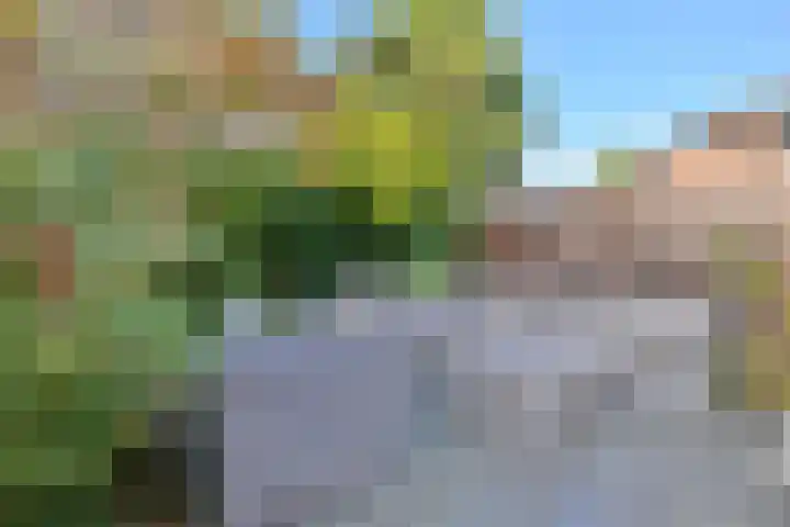 Atalanta 32 Deventer thumbnail 29