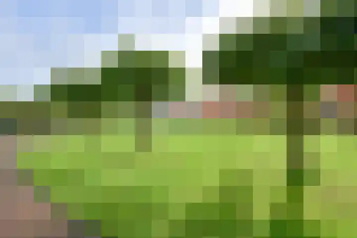 Atalanta 32 Hoogeveen thumbnail 56
