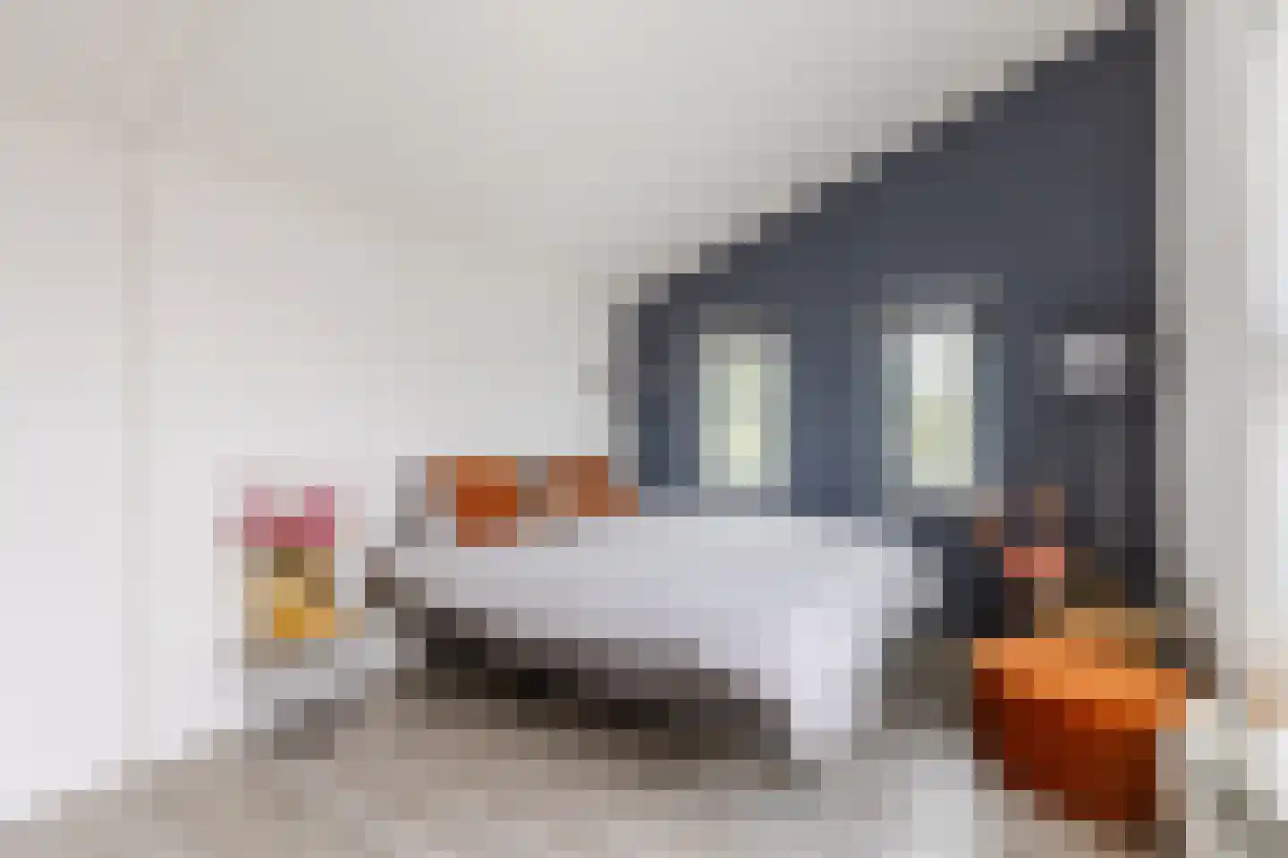 Atalanta 34 Krommenie thumbnail 30